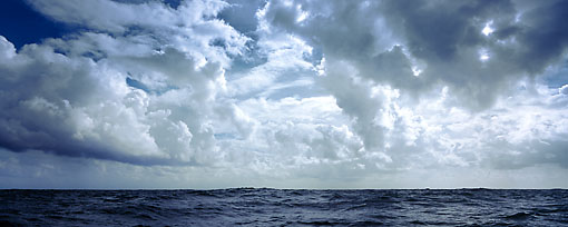 Michael Berman Photography